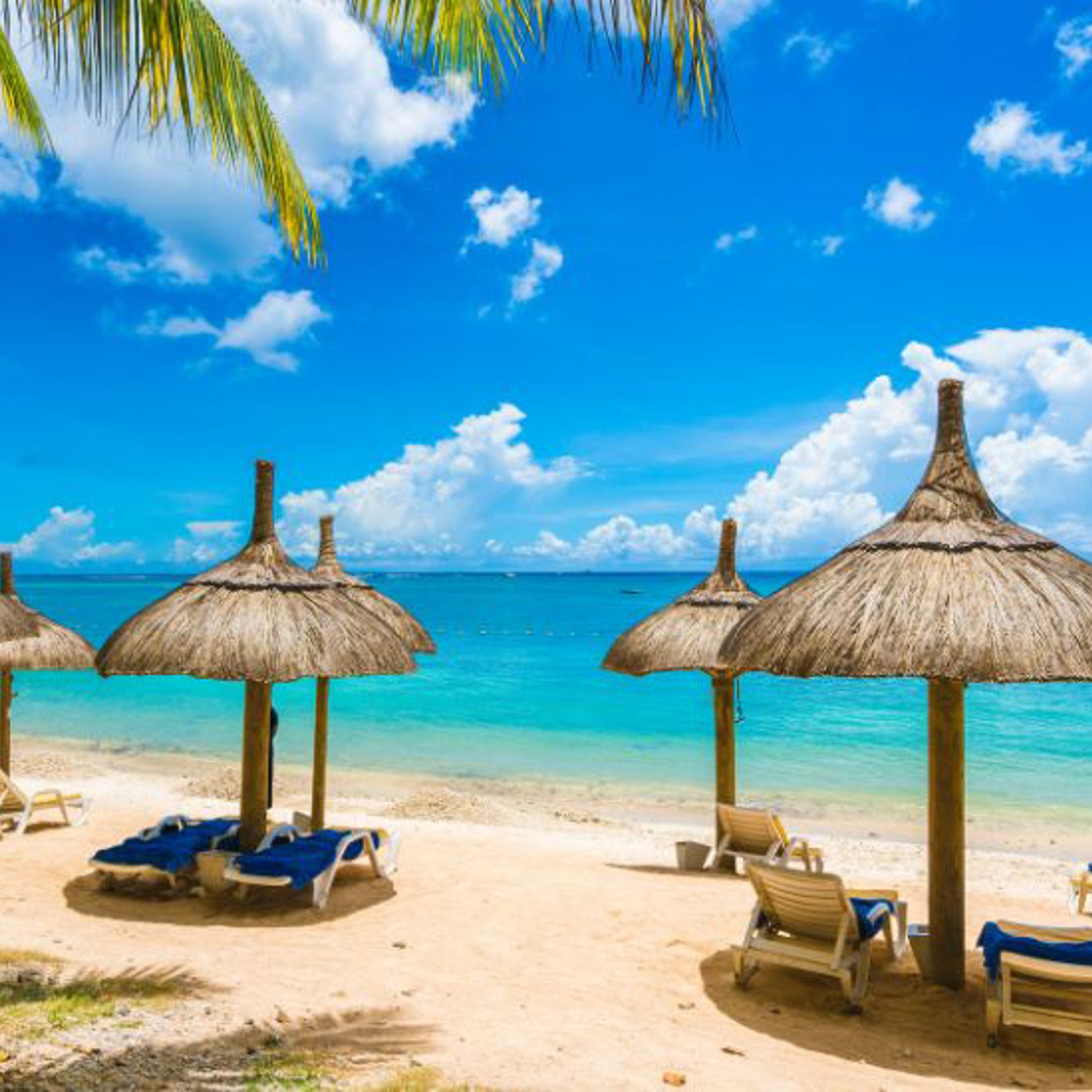 BA SUMMER 2026 LONG HAUL SCHEDULE AIRCRAFT CHANGES visual data 4